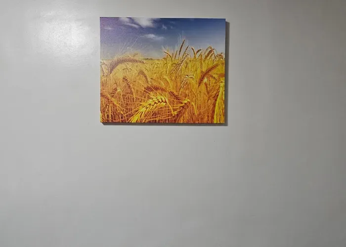 Tranquil Cool Mactan Cebu Bed & Breakfast