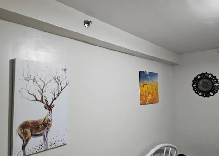 Tranquil Cool Mactan Cebu Bed & Breakfast